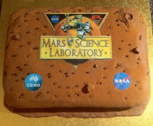 MSL Cake