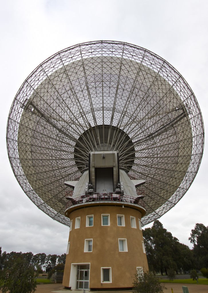 Close view of the dish